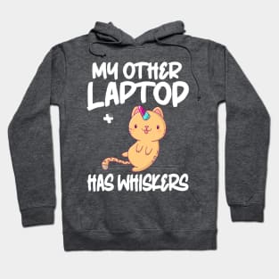 My Cat Has Whiskers Cat Lover Party Hat Hoodie